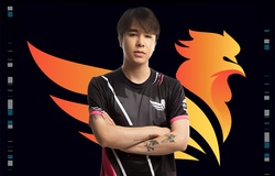 Zeros bị cấm vĩnh viễn khỏi VCS vì phát ngôn "Mong VCS không được đi MSI"