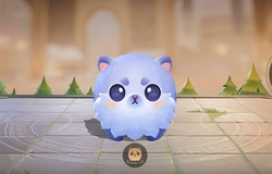 Linh thú trong cờ Liên Quân để làm gì?