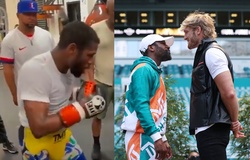 VIDEO Floyd Mayweather Jr trở lại tập luyện chuẩn bị đấu Logan Paul