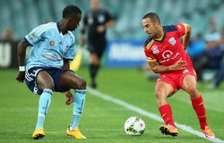 Kết quả Adelaide United vs Sydney, video bóng đá Úc hôm nay 29/5