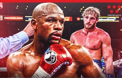 Xem trực tiếp Floyd Mayweather vs Logan Paul ở đâu, kênh nào?