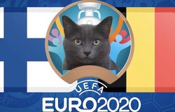 Mèo tiên tri dự đoán bóng đá EURO hôm nay 21/6: Phần Lan vs Bỉ