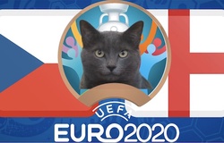 Mèo tiên tri dự đoán bóng đá EURO hôm nay 22/6: CH Séc vs Anh