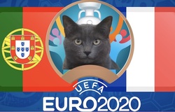 Mèo tiên tri dự đoán bóng đá EURO hôm nay 23/6: Bồ Đào Nha vs Pháp
