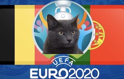 Mèo tiên tri dự đoán bóng đá EURO hôm nay 27/6: Bỉ vs Bồ Đào Nha