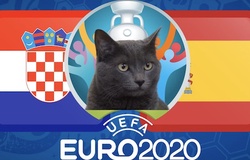 Mèo tiên tri dự đoán bóng đá EURO hôm nay 28/06: Croatia vs Tây Ban Nha