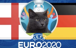 Mèo tiên tri dự đoán bóng đá EURO hôm nay 29/06: Anh vs Đức