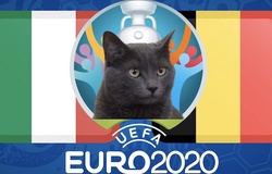 Mèo tiên tri dự đoán bóng đá EURO hôm nay 02/07: Bỉ vs Italia