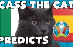 Mèo tiên tri dự đoán bóng đá EURO hôm nay 06/07: Italia vs Tây Ban Nha