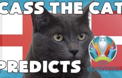 Mèo tiên tri dự đoán bóng đá EURO hôm nay 07/07: Anh vs Đan Mạch