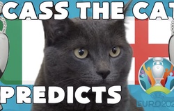 Mèo tiên tri dự đoán bóng đá EURO hôm nay 11/07: Anh vs Italia