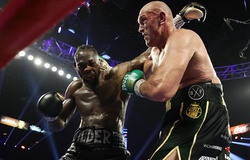 Tyson Fury vs Deontay Wilder 3 được lên lịch lại trong tháng 10