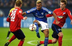 Nhận định Schalke vs Hamburger, 01h30 ngày 24/07, Giải hạng 2 Đức