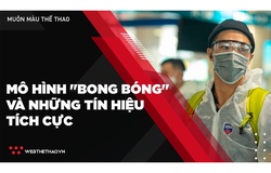 Mô hình "bong bóng" và những tín hiệu tích cực từ VBA 2021