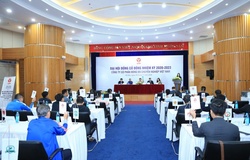 Vì sao yêu cầu VPF đại hội cổ đông bất thường của bầu Đức không được chấp thuận?