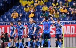 Nhật Bản suýt nhận trái đắng trước chuyến làm khách tại Việt Nam