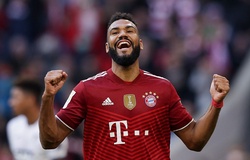 Kết quả Bayern Munich vs Hoffenheim, vòng 9 Bundesliga