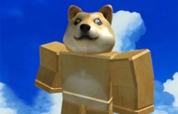 Code Dog Piece mới nhất 2021 và cách nhập code trên Roblox