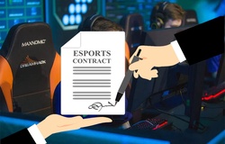 Những người đại diện cho tuyển thủ Esports - Họ là ai?