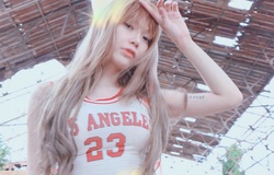 Top 5 tuyển thủ Esports thuộc cộng đồng LGBTQ