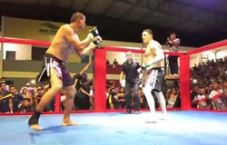 Giải quyết mâu thuẫn, hai chính trị gia Brazil xỏ găng đánh MMA