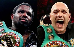 Thương thảo bất thành, Tyson Fury có thể không bảo vệ đai Boxing WBC trước Dillian Whyte
