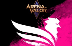 SBTC Esports chuẩn bị thành lập đội Liên Quân Mobile?