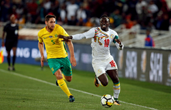 Nhận định Senegal vs Guinea: Đẳng cấp ngôi sao