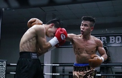 Trần Văn Thảo hội quân ĐTQG, Boxing Việt Nam tổ chức giải đấu tiền SEA Games