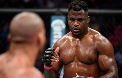 Nói về UFC, Francis Ngannou lên tiếng ủng hộ Jake Paul: “Tôi từng cầu xin được thi đấu”