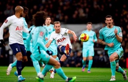 Nhận định Brighton vs Tottenham: Áp lực bủa vây