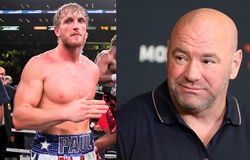 "Tôi không nói từ chối": Dana White có sẵn sàng chào đón Logan Paul tới UFC?