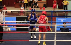 "Không đánh vẫn vàng": Thu Nhi lên ngôi vô địch Boxing các đội mạnh toàn quốc 2022