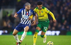 Nhận định Brighton vs Norwich: Vớt vát hy vọng