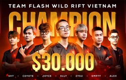 Team Flash giành chức vô địch WCS Việt Nam 2022