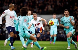 Link xem trực tiếp Tottenham vs Brighton, Ngoại hạng Anh, 18h30 ngày 16/4