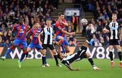 Nhận định Newcastle vs Crystal Palace: Chích chèo bay cao