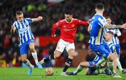 Dự đoán kết quả Brighton vs MU: Làm thịt Mòng biển