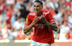 Darwin Nunez sẽ có giá đắt hơn Van Dijk khi đến Liverpool