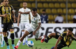 Nhận định Deportivo Tachira vs Santos: Cái dớp Brazil