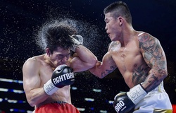 Trương Đình Hoàng, Thu Nhi và chuyện lên chuyên nghiệp của Boxer Việt Nam
