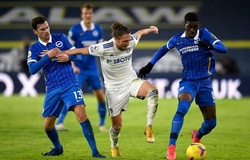 Nhận định, soi kèo Brighton vs Leeds: Cuộc chiến cân não