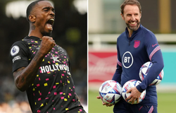 Đội hình chính thức tuyển Anh 2022: Danh sách, số áo cầu thủ dự World Cup 2022