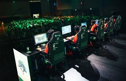 Saigon Buffalo cập nhật tình hình visa của các thành viên