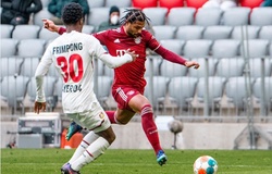 Dự đoán kết quả Bayern Munich vs Leverkusen: Hùm xám khoe nanh