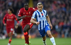 Dự đoán kết quả Liverpool vs Brighton: Chật vật hạ Mòng biển