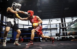 Tuyển boxing Việt Nam cọ xát với các võ sĩ đến từ Hàn Quốc và Brazil