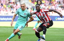 Nhận định, soi kèo Brentford vs Brighton: Hiện tượng trở lại