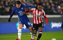 Dự đoán kết quả Brentford vs Chelsea: Bầy ong vỡ tổ