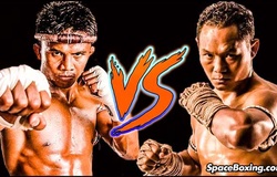 Buakaw đối đầu Saenchai: BKFC công bố kèo Muay Thái tay trần giữa hai huyền thoại